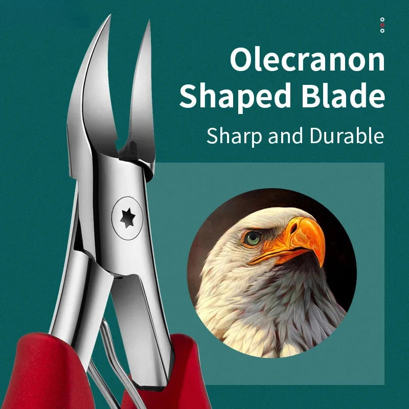 Professional Grade Concave Stainless Steel Nail Clippers for Thick Nails and Ingrown Toenails Sharp Curved Blade for Easy Trimmi