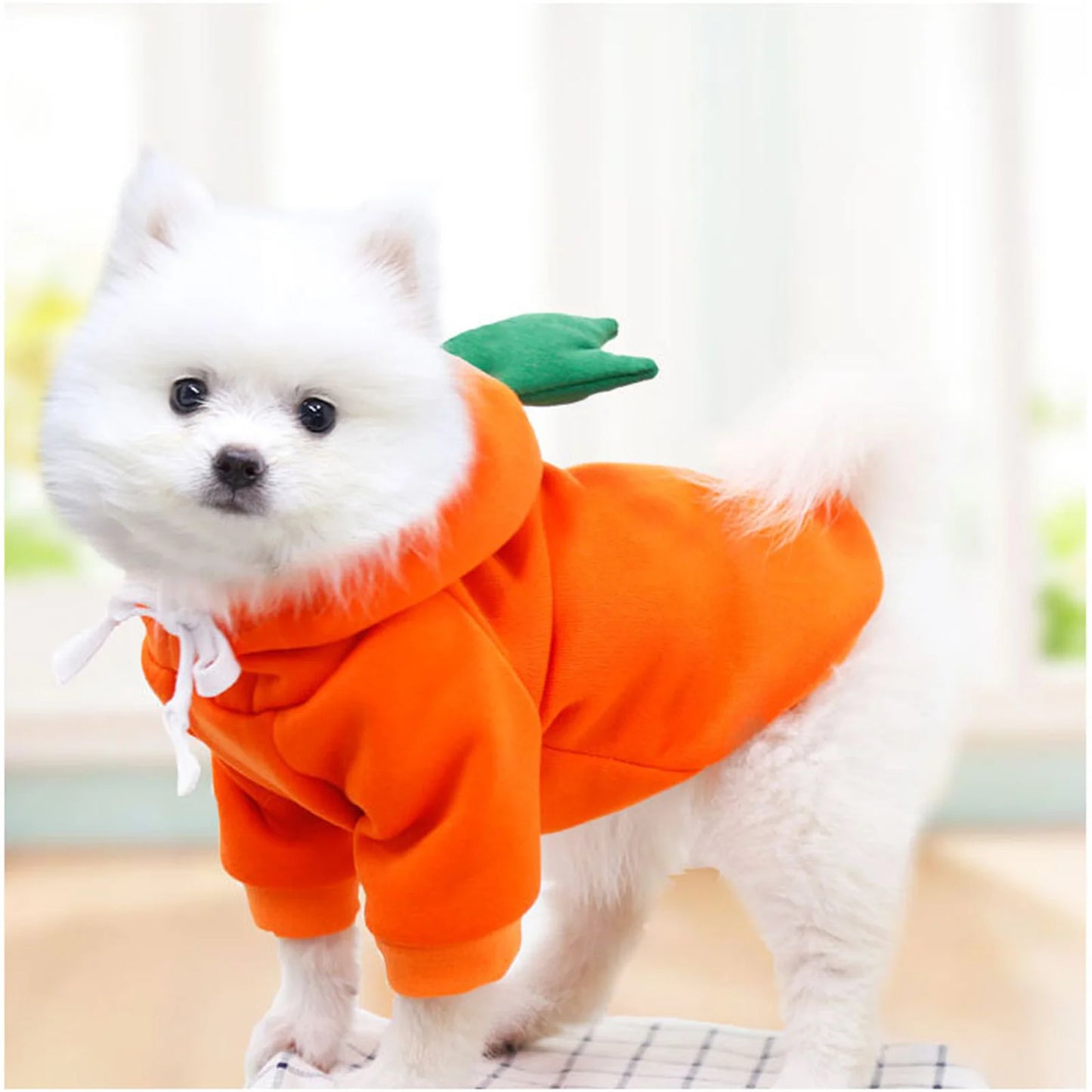 1pc New Dog Hoodie Clothes Cute Design Sweater Coat Carrot  Frog Shape Warm Fleece Outdoor Pet Outfit Outerwear for Dogs Puppy